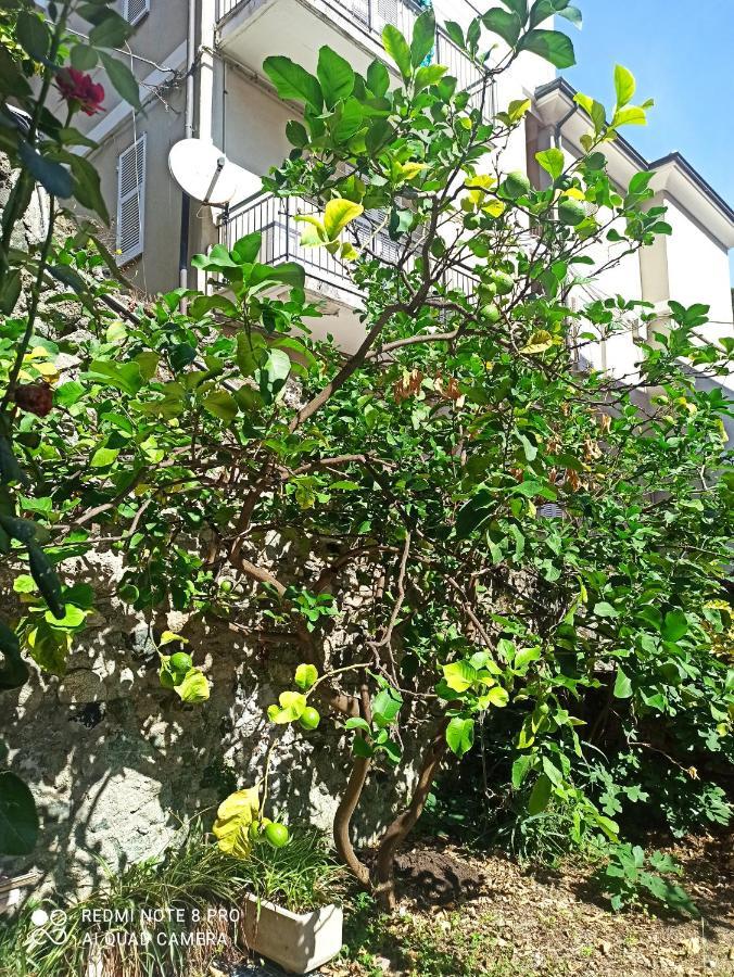 Lemons House Apartment Monterosso al Mare Ngoại thất bức ảnh